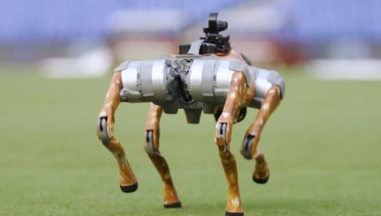 IPL 2025 Unveils High-Tech Robot Dog for Broadcast Team, Fans Invited to Name It